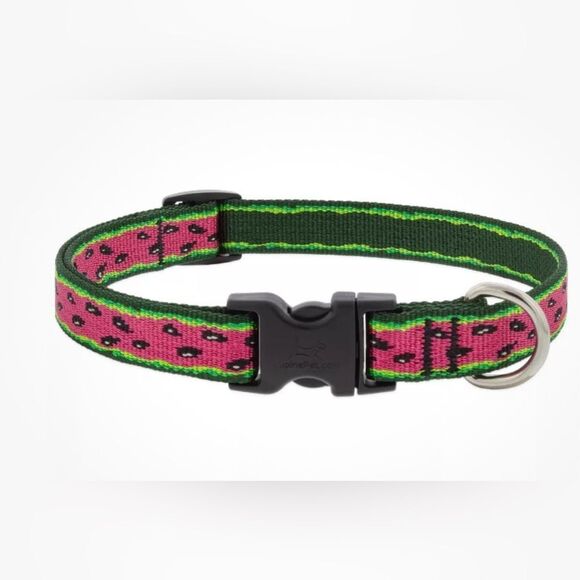 Lupine Pet Dog Collar Watermelon Seeds -  3/4 Inch width NWOT - Picture 1 of 4